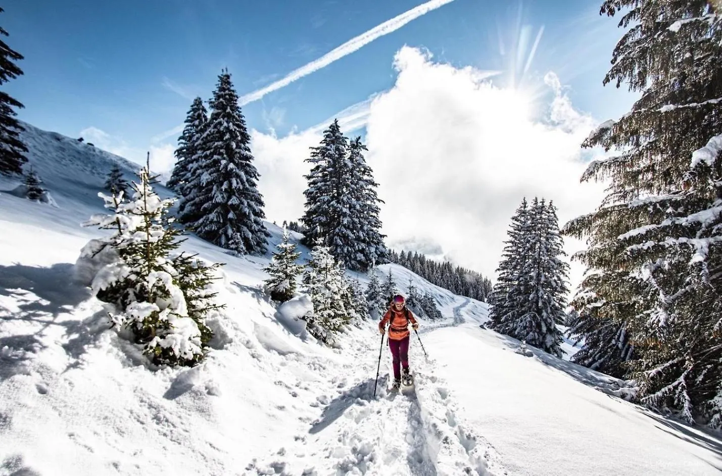 Biches Bia17 Mountain & Quiet 4 Pers Apartment Chatel